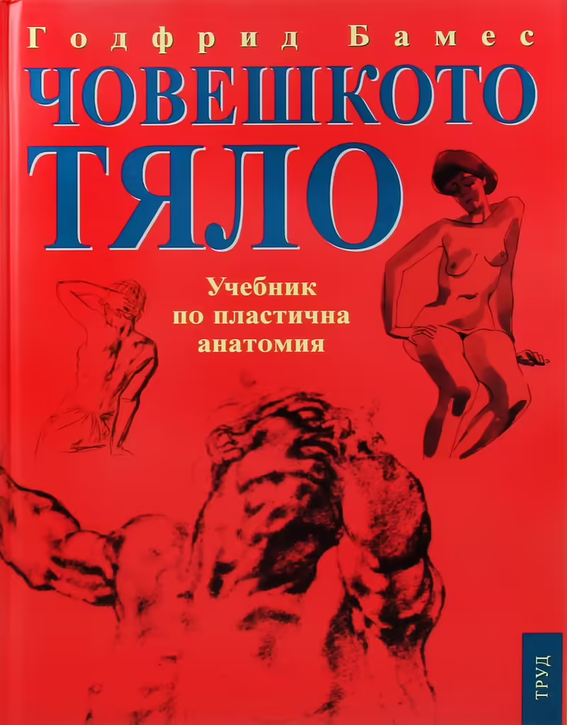 Корицата на 