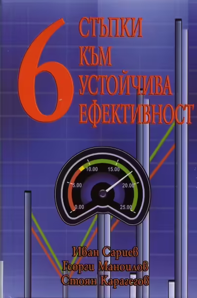Корицата на 6 стъпки към устойчива ефективност