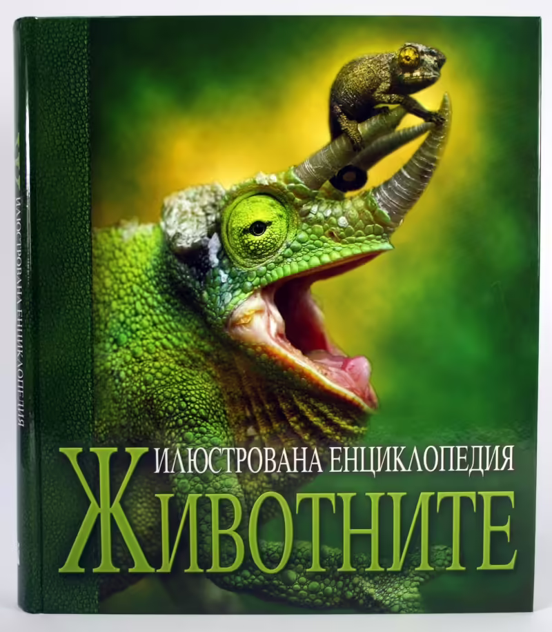 Корицата на 