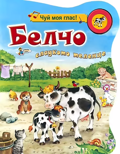 Корицата на 